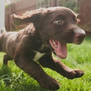 Meet your Posher, Anita